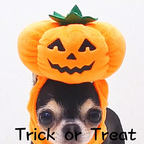 楽天市場】犬 帽子 ハロウィン パンプキン キャップ スマイリー S M L