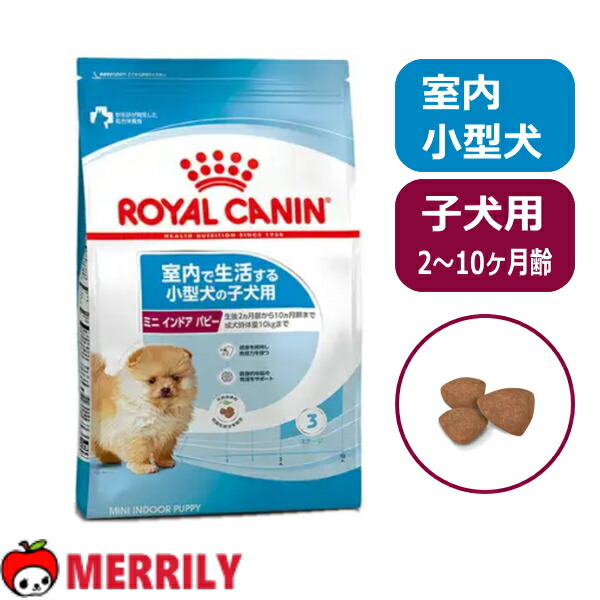 熱い夏を好いたらしいに過ごすグッズ