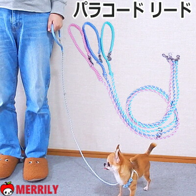 チワワのハーネス かわいいパラコード ちわわのおススメハーネス