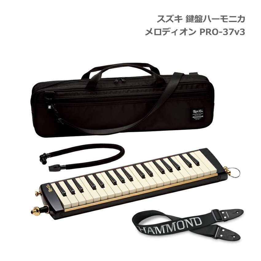 【良音】SUZUKI 鍵盤ハーモニカPRO-37v2 付属品・ケース付き SUZUKI ( スズキ ) PRO-37 V3 SG シャイニンググリーン 鍵盤