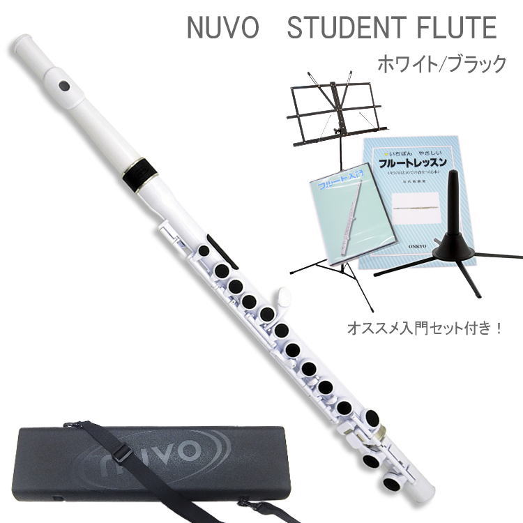 ゴッホ 星月夜 Nuvo student flute SE200FPKピンク | iuggu.ru