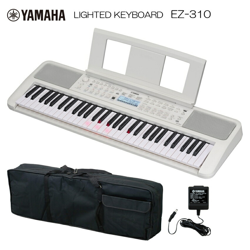 ez-310-case.jpg