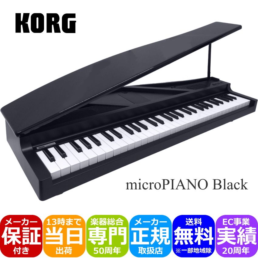 楽天市場】KORG microPIANO BK コルグ ピアノ型キーボード レッド 