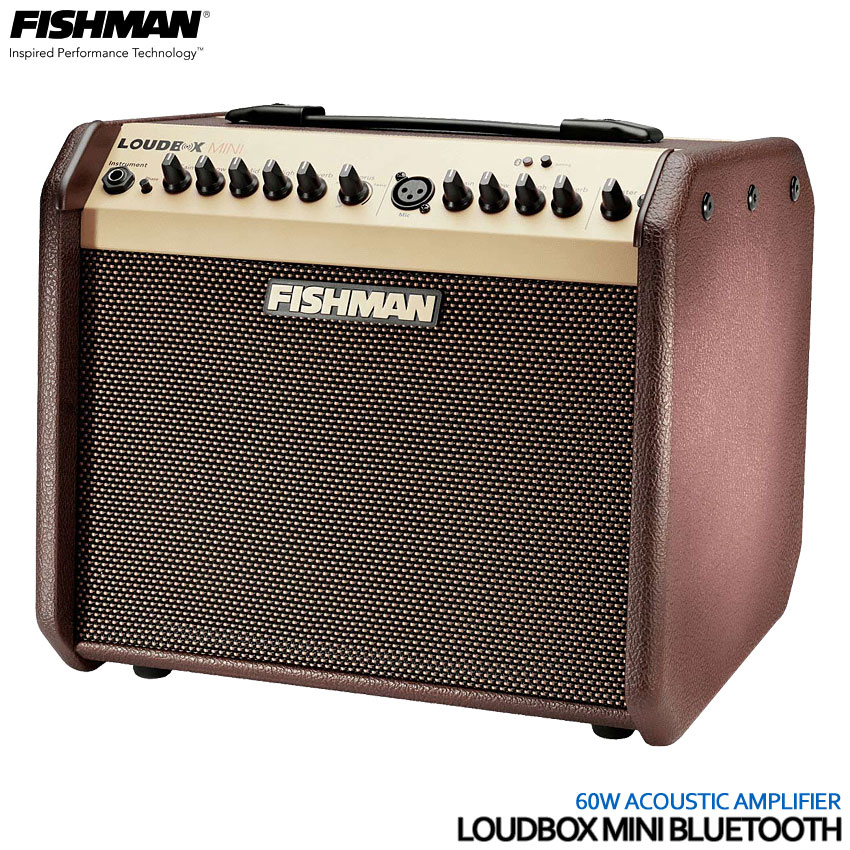 貨物輸送無料 専用埋め合せツキ Fishman アコースティックギターアンプ Loudbox Mini Bluetooth フィッシュマン Loadedcafe Com