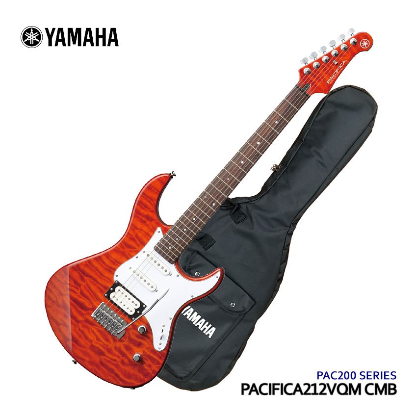 pac212vqm-cmb.jpg pac212vqm-cmb.jpg