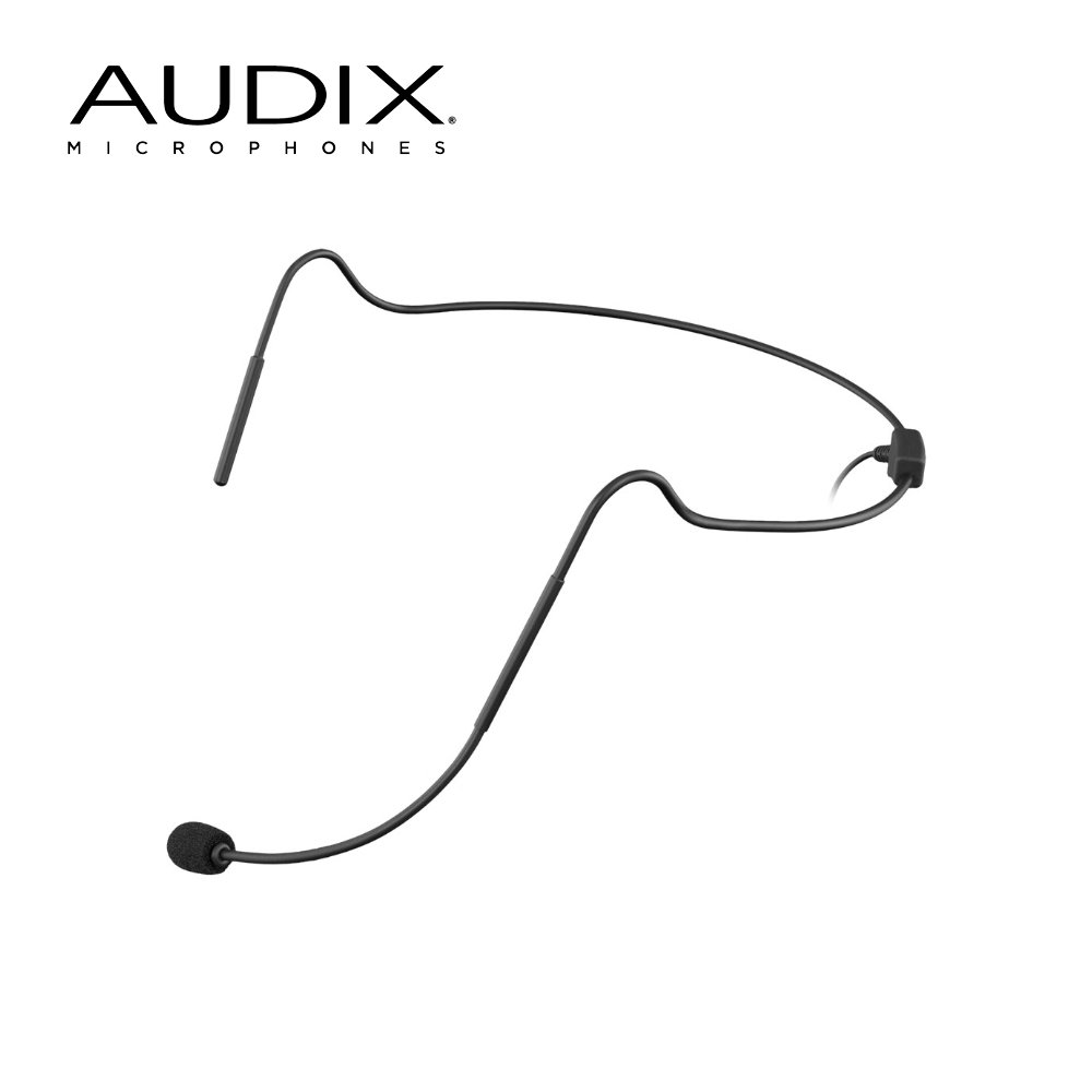 AUDIX 無指向性ヘッドセットマイク H5 (miniXLR)(7月24日時点 供給元在庫あり)｜楽器のことならメリーネット 26,950円