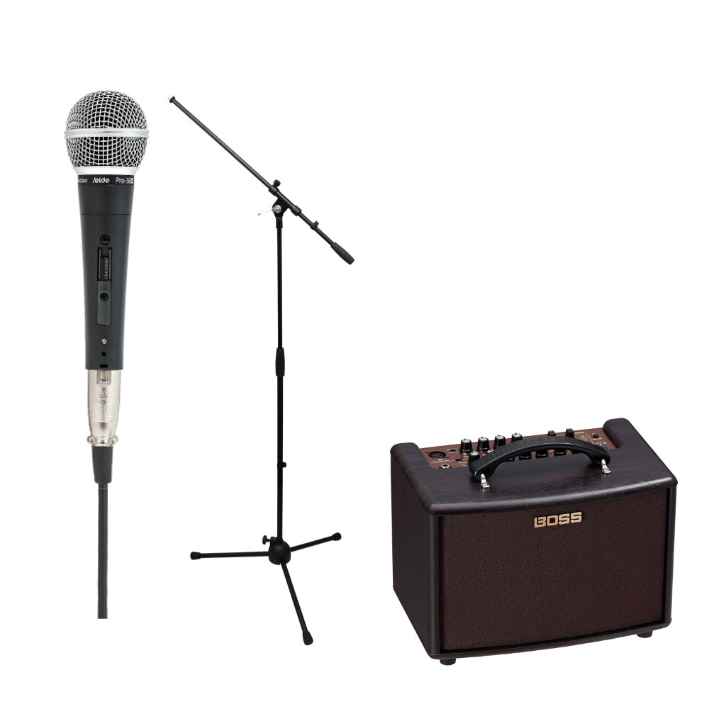 Roland アコースティックギターアンプ AC-22LX ストリートライブセット マイク付