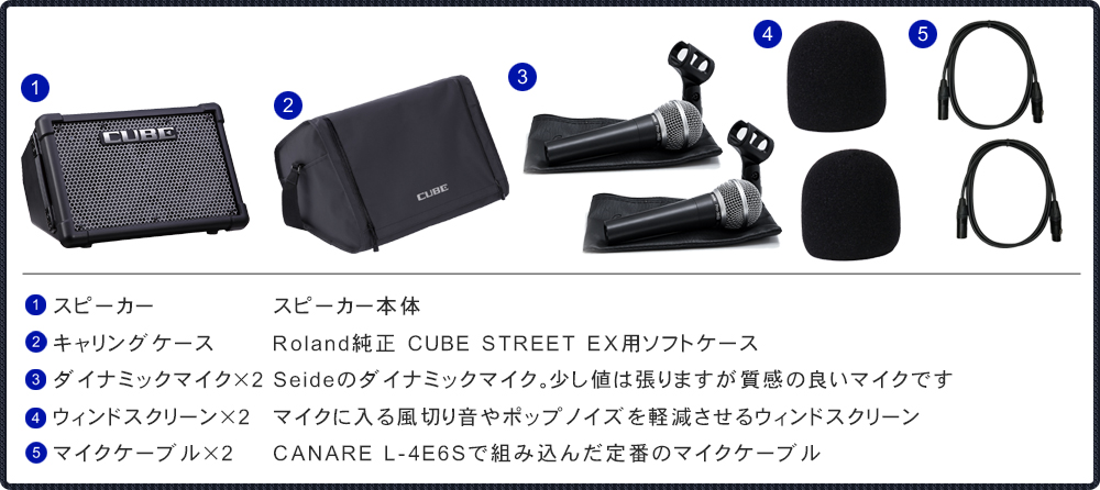 Roland CUBE STREET EX (ちょっと良いダイナミックマイク2個セット) PA