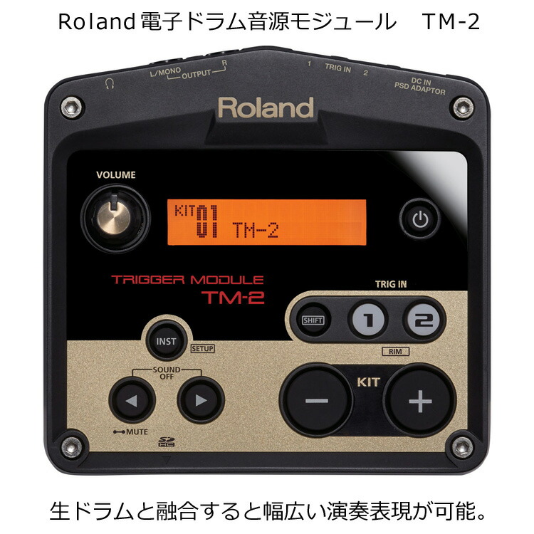 楽天市場】YAMAHA(ヤマハ) / DTX502 - DTX500シリーズ 音源