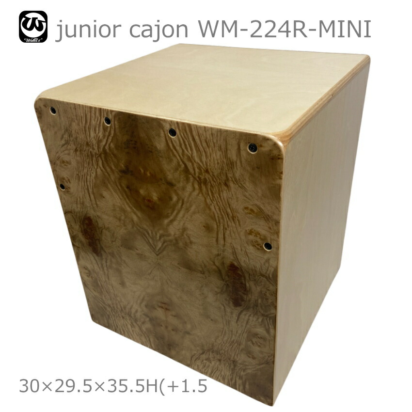 楽天市場】Pearl パール ジュニア カホン ケース付き ジュニアサイズ