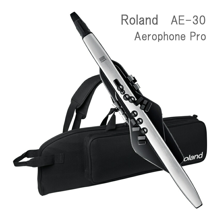 Roland Aerophone Pro AE-30 デジタル管楽器 エアロフォン ローランド AE30 プロ