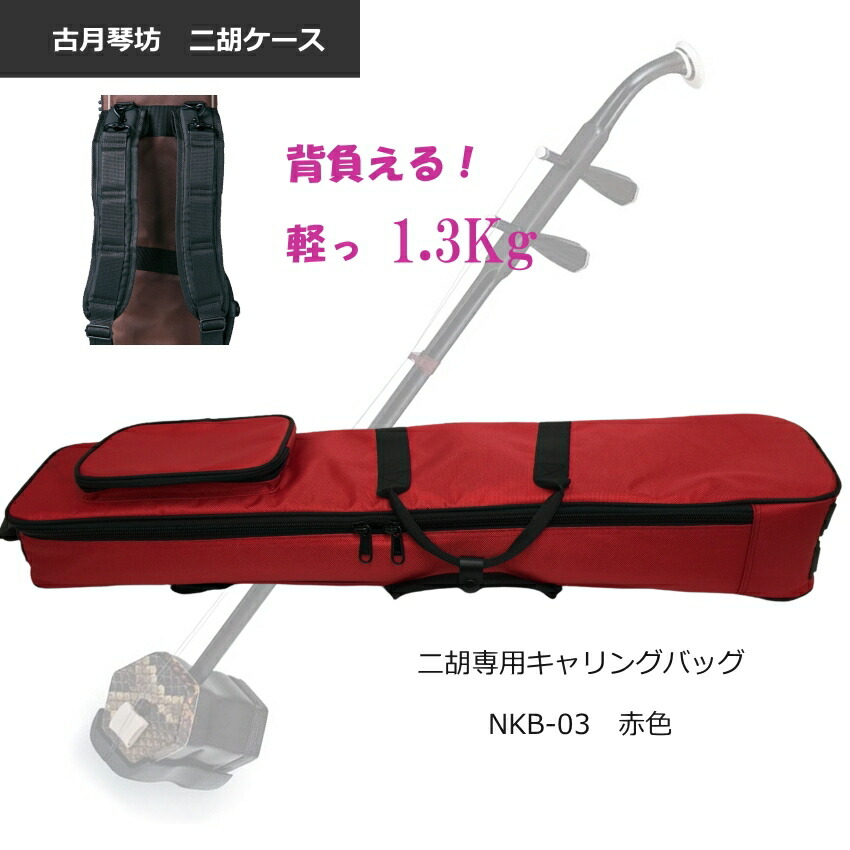 極美品　電気　ニ胡　エレキ　セミハードケース付き 極美品 電気 ニ胡 エレキ セミハードケース付き