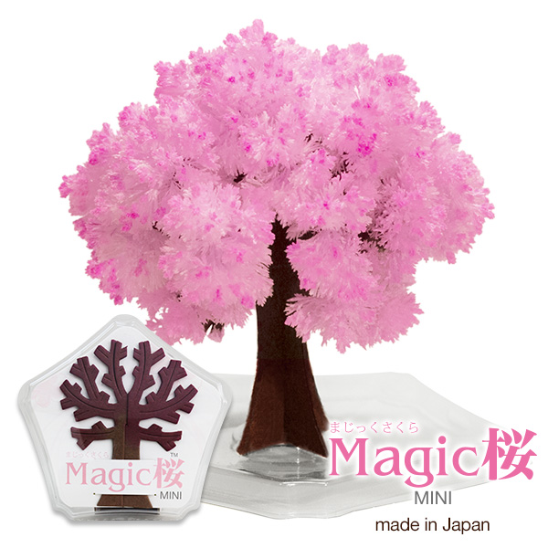 楽天市場 メール便 Magic桜ミニ マジック桜 桜 海外へのお土産に エア花見 Magic Sakura マジックさくら マジックツリーシリーズ マジックサクラミニ手作りで作る桜の木 おとぎの国 合格祈願 グッズ インテリアと雑貨のお店merryhouse