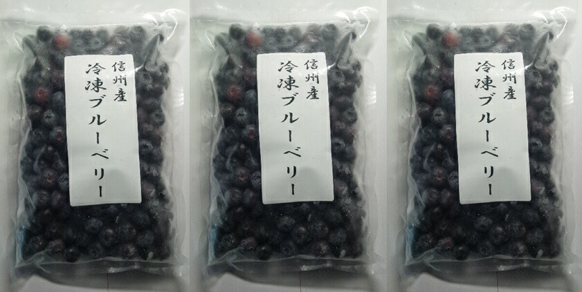 <br>純国産　信州大鹿村 （OS）冷凍ブルーベリー 500g （袋入り）×３袋セット（代引・他の商品と混載不可）（沖縄・離島への発送は不可）