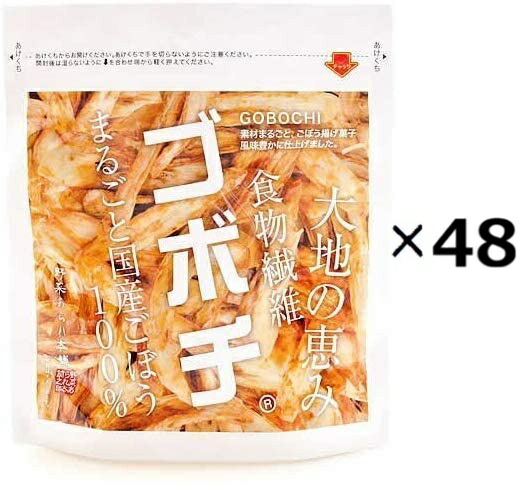 （48袋セット）ゴボチ プレーン味×48袋セット（OS）（代引・他社製品と同梱不可）（沖縄・離島への発送は不可）