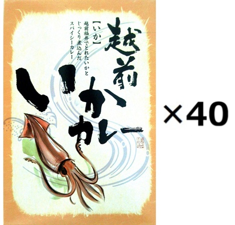 （40個セット）海の幸いかカレー&times;40個セット（OS）（代引・他社製品と同梱不可）（沖縄・離島への発送は不可）｜アルファダイレクト　店 21,240円