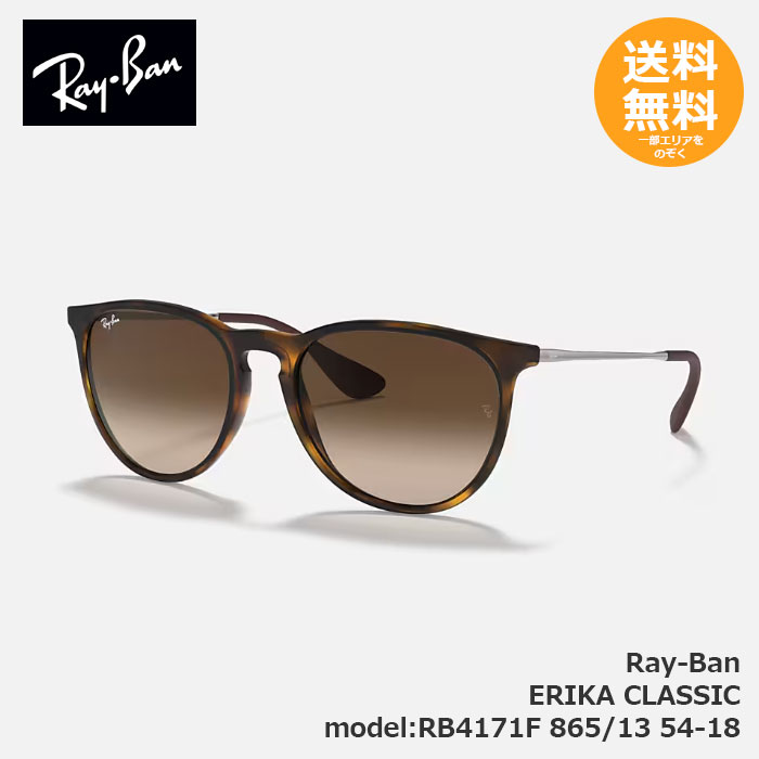 RayBan レイバン サングラス ERIKA CLASSIC RB4171F 865/13 54-18【送料無料】