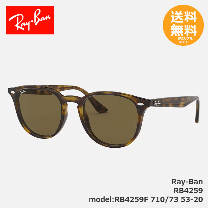 RayBan レイバン サングラス RB4259 RB4259F 710/73 53-20【送料無料】