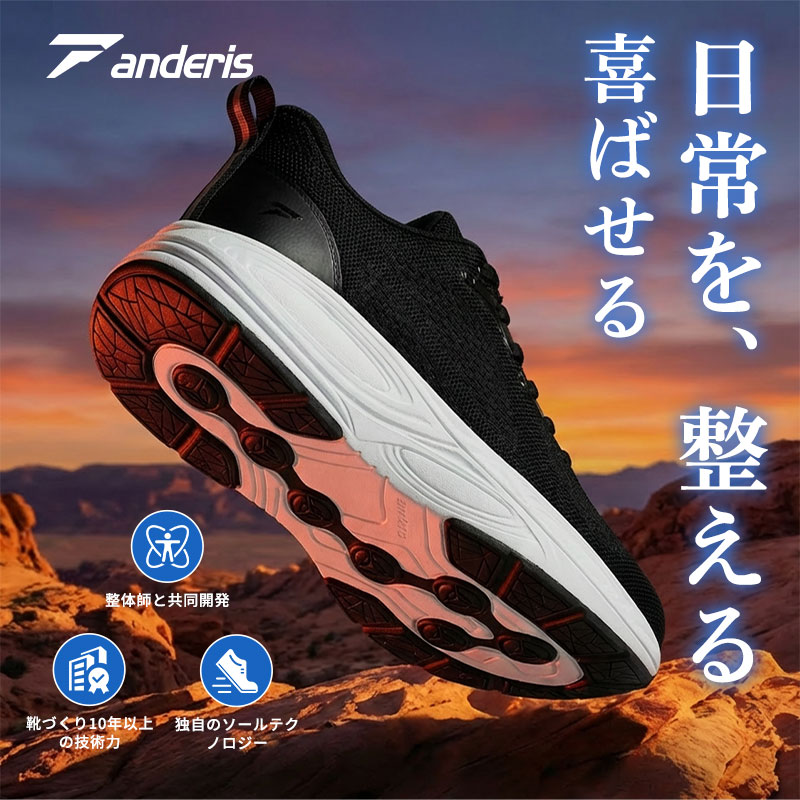 anderis 【立ったまま履ける】 CUSH-NEXUS 3 スニーカー レディース きれいめ メンズ ウォーキングシューズ 軽量 通気 2e 外反母趾 幅広 靴 シューズ スリッポン 運動靴 ランニングシューズ 滑り止め 歩きやすい 疲れない 通勤 通学 部活 黒 白