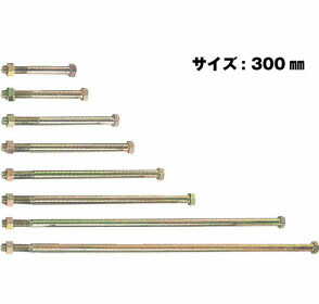 Z ゼット Z六角ボルト M16 M16×300mm 50本 417-3300 基礎 内装 構造金物 土台