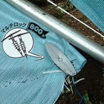 マルチロック 800本 幅110mm×長さ130mm 建築現場のシート 農業資材のマルチ トンネル被覆材の固定具