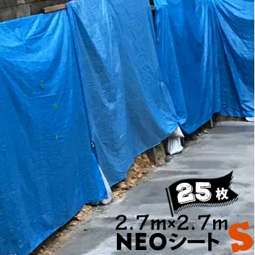 【エントリーで尖んがり7倍!6/4 20時~】青み居敷き 朦々たる 萩原 NEO居敷き S #3000 ホームセンター向け インポート品 2.7m×2.7m  25枚
