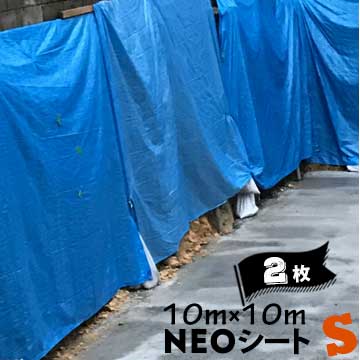【エントリーで尖んがり7倍!6/4 20時~】青み居敷き 朦々たる 萩原 NEO居敷き S #3000 ホームセンター向け インポート品 10m×10m  2枚