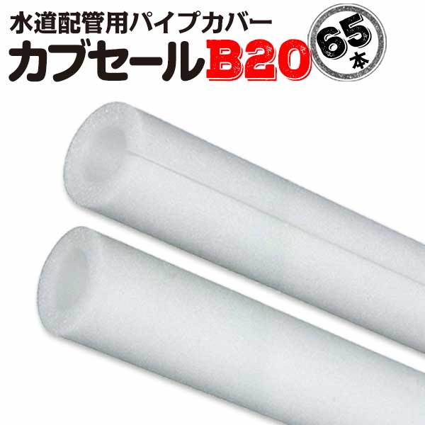 【エントリーで尖んがり7倍!6/4 20時~】少年大売り出しB20:口径20mm×外径40mm×10粍厚 長さ2m 65本 配管工業取りまかなう 配管取りまかなう