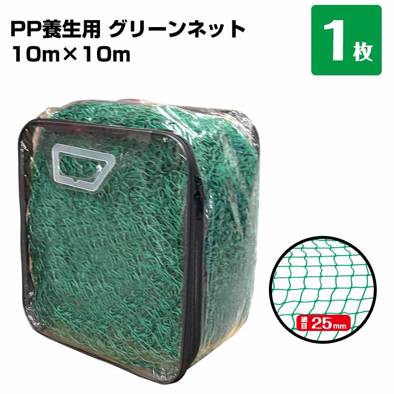 グリーンネット 10m×10m 網目25mm 1枚 手提げバッグ付き