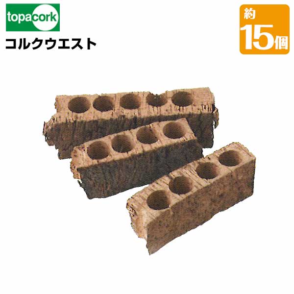 園芸用コルクコルクウエスト 120～180×H40～50mm 1ケース（約15個）園芸花材用 天然素材