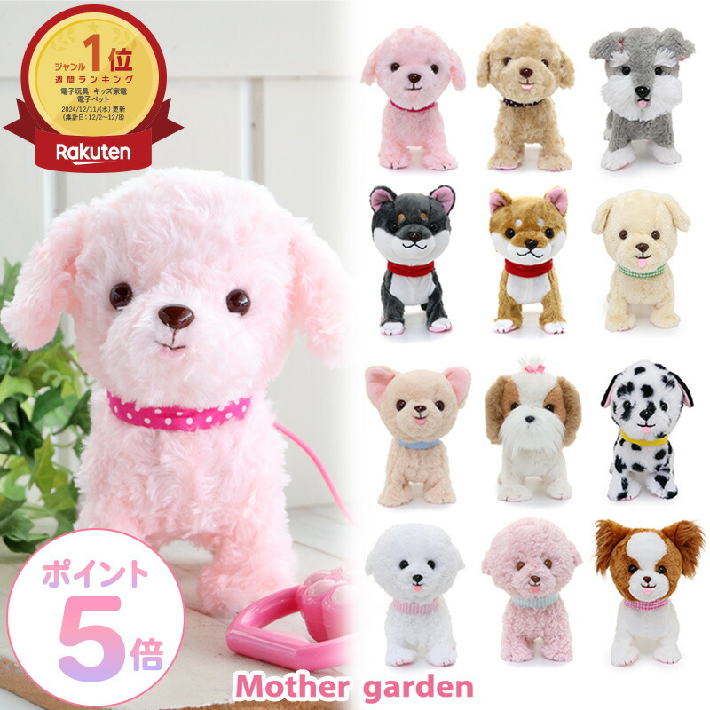 楽天市場】【50％OFF】 マザーガーデン 一緒に体操！ 元気なコーギー