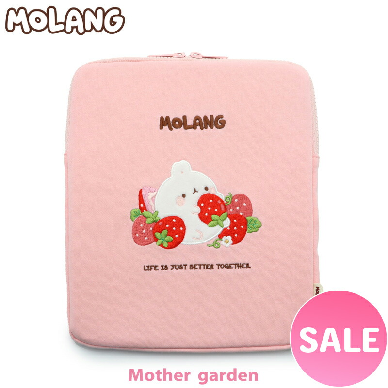 mola mola （モラモラ）音楽プレーヤー ACアダプター付き mola mola （モラモラ）音楽プレーヤー ACアダプター付き