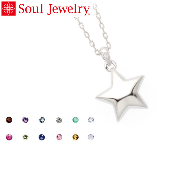 遺骨ペンダント Soul Jewelry スター Pt900 プラチナ 11種類の誕生石から選べます (予定納期約4週間)|遺骨ペンダント ミニ骨壷の大野屋