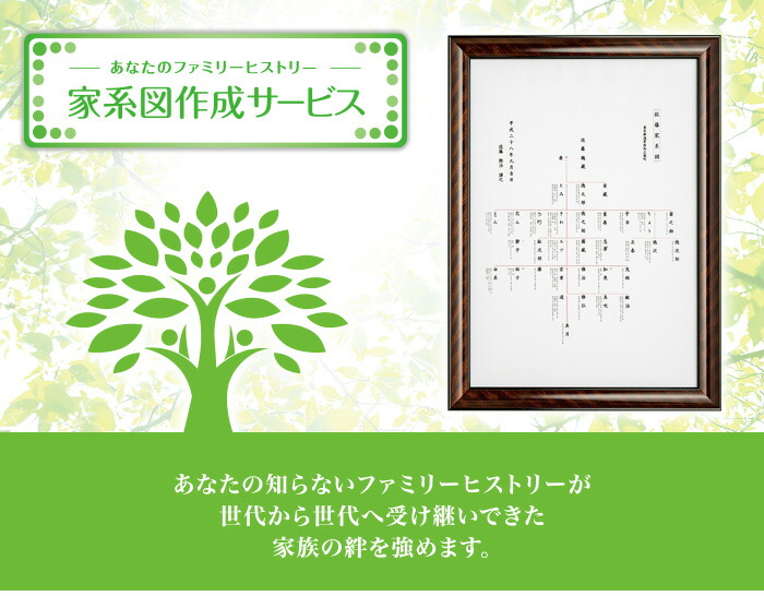 家系図作成サービス Aタイプ Sandjfisheries Co Uk