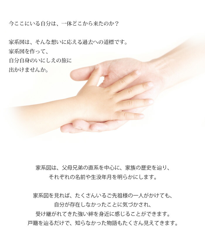 家系図作成サービス Aタイプ Mergertraininginstitute Com