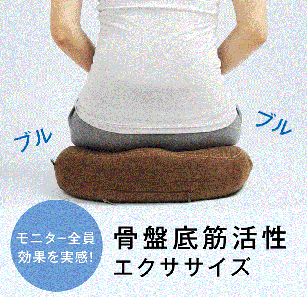 PROIDEA （労働者階級イデア） 骨盤帯底筋エクササイズクッション キュットブル骨盤帯底筋 運動すること 尿手抜かり 尿もれ 骨盤帯 座腰掛け 骨盤帯更生させる 座布団 腰掛け 産後 産後おっ母さん 骨盤帯クッションテレビショッピング 大人気