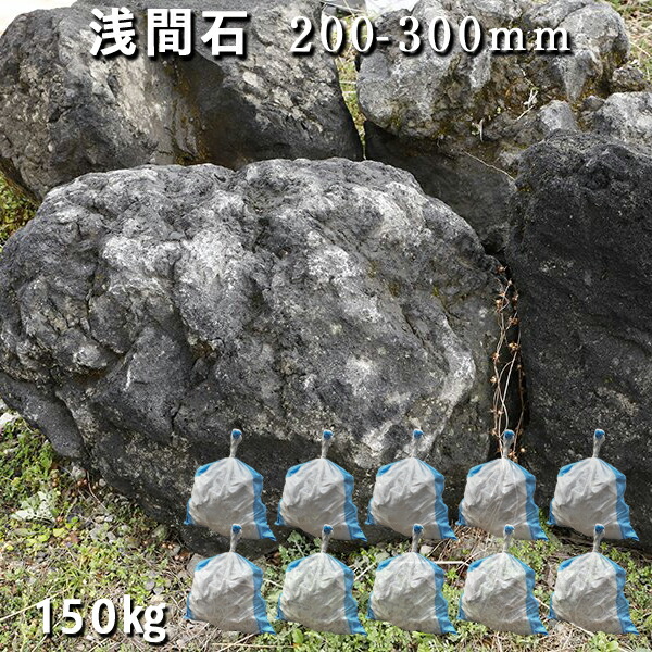 楽天市場】庭石 ロックガーデン浅間石（200〜300mm）3〜5個入り1袋（約