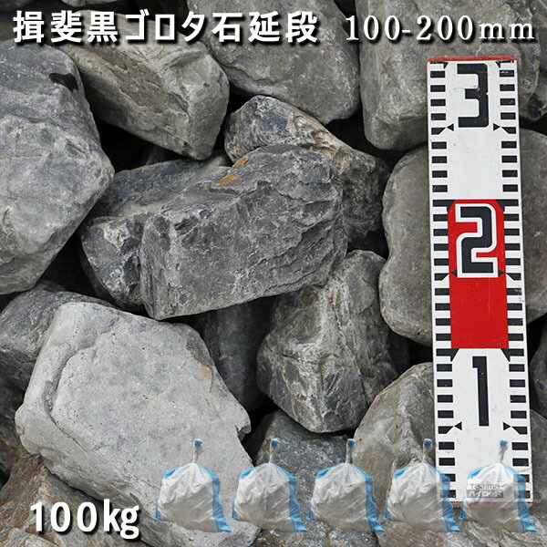 庭石 ゴロタ石 自然石 川石 玉石 ごろた 揖斐黒ゴロタ石延段（150-250mm） 5袋セット/計約100kg ガーデンロック ガーデニング おしゃれ DIY 花壇 造園 ガビオン 砕石 土留め 池 ロックガーデン 割栗石