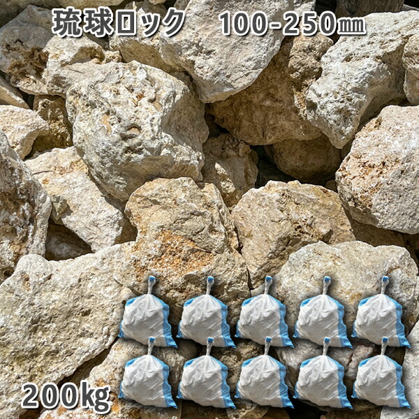 楽天市場】庭石 石畳 積石 景石 琉球ロック/琉球石灰石（100〜250mm）1
