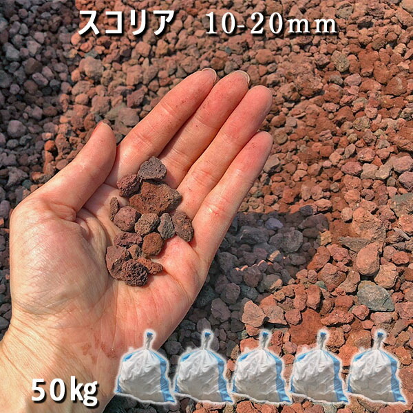 楽天市場】庭 砂利 石庭 庭石 化粧砂利 天然砂利 溶岩石 ロック