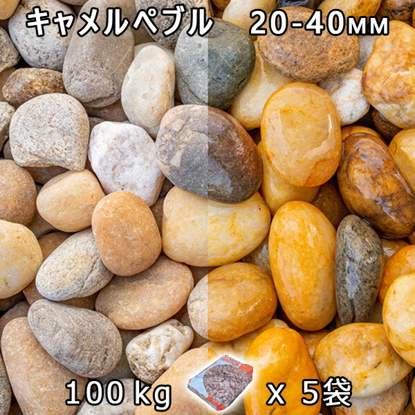 砂利 石庭 庭石 化粧砂利 キャメルぺブル M（20-40mm） 5袋セット/計約100kg 法人宛 又は 個人様支店止め 代引・時間指定不可 砂利 シ゛ャリ おしゃれ 和風 洋風 ガーデニング 園芸 DIY 敷き砂利 花壇 アクアリウム テラリウム ビオトープ 池