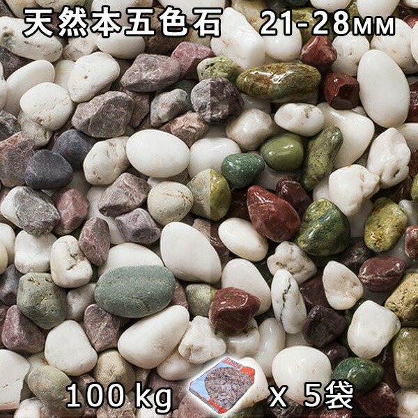 さざれ石 石庭 庭石 かざり付けるさざれ石生まれながら本五色石 小（21-28粍）5袋仕掛ける/計約100kg法人宛 又は 人間様支店御仕舞い代引・第四次元任ずる不可敷きさざれ石 花やしき 海洋博物館 テラリウム ビオトープ 池 花・ガーデン・DIY-石材