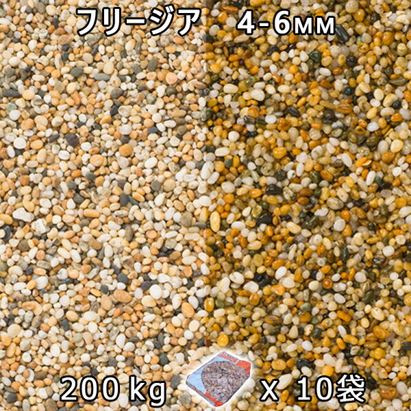 砂利 石庭 庭石 化粧砂利 フリージア 2分（4-6mm） 10袋セット/計約200kg 法人宛 又は 個人様支店止め 代引・時間指定不可 敷き砂利 花壇 アクアリウム テラリウム ビオトープ 池