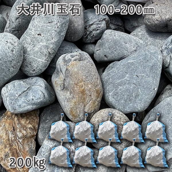 楽天市場】庭石 自然石 国産石 川石 大井川玉石（100〜200mm）1袋（約