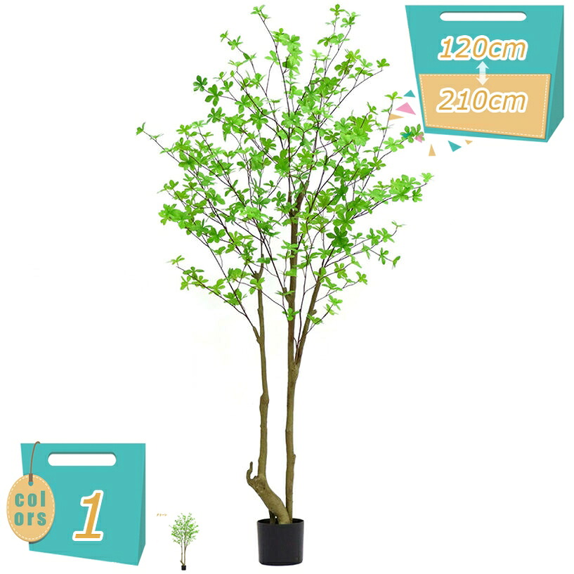 1000円OFFクーポン 馬酔木 観葉植物 本物そっくり 大型 室内用 幸運の木 金のなる木 風水 おしゃれ インテリア 大きい ギフト プレゼント 常緑樹 鉢植え お祝い 初心者 人工観葉植物 フェイクグリーン 室内 屋外対応 世話不要 調整可能 開店祝い 新築祝い mi-ya-bi｜miyabicompany