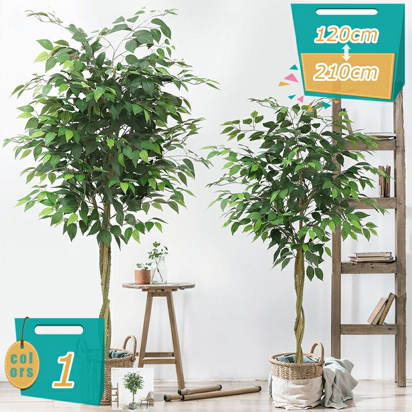 500円OFFクーポン券 観葉草木 フェイクグリーン ご覧なさる草木 鉢植え 本物そっくり ガジュマル 常緑樹 造花 本当の 人工観葉樹 分かりやすい 仕合わせの木 執務室 室内 室内装飾 オシャレ 開店祝賀会 営造祝賀会 開業祝賀会 引き越す祝賀会 水やり不必要 お取りつくろう不必要 mi-ya-ビスマス