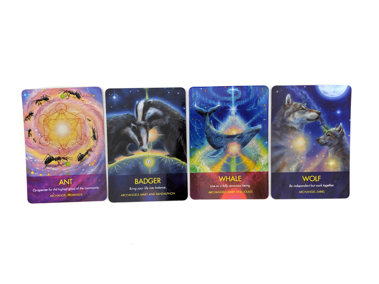 楽天市場 大天使 アニマル オラクル 占い オラクルカード ダイアナ クーパー Archangel Animal Oracle Cards Diana Cooper 英語版 M I B Store