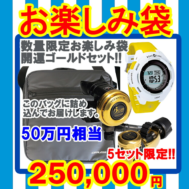 [ mic21目あたらしい ] 2025 お命のせんたく袋 開運ゴールド仕掛ける 福袋