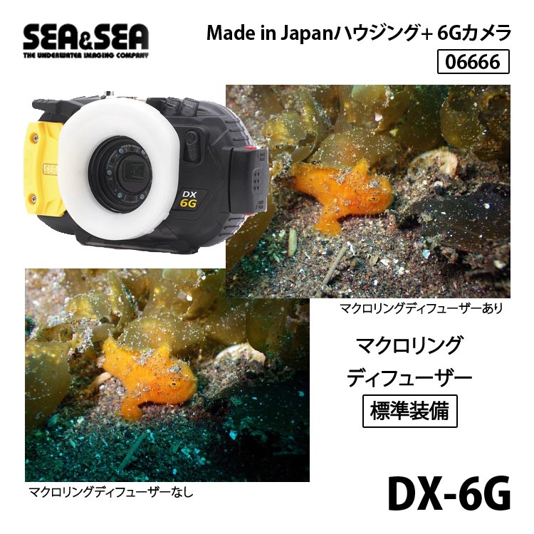 SEA＆SEA シーアンドシー シーアンドシー 06666 DX-6Gコンパクト