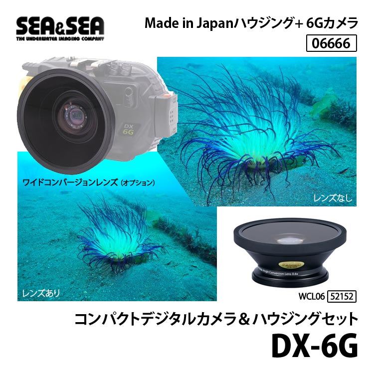 SEA＆SEA シーアンドシー シーアンドシー 06666 DX-6Gコンパクト